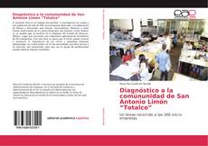 Buchcover von Diagnóstico a la comúnunidad de San Antonio Limón “Totalco”