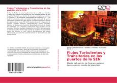 Buchcover von Flujos Turbulentos y Transitorios en los puertos de la SEN