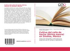 Capa do livro de Cultivo del callo de hacha (Atrina maura) en Sinaloa, México 