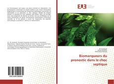 Copertina di Biomarqueurs du pronostic dans le choc septique