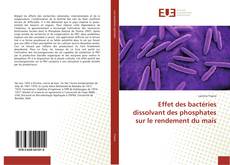 Capa do livro de Effet des bactéries dissolvant des phosphates sur le rendement du maïs 