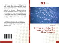 Capa do livro de Etude de la pollution de la nappe souterraine de la ville de Toamasina 