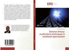 Decision theory: multicriteria techniques in multilevel optimization kitap kapağı