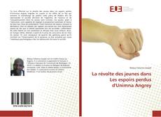 Capa do livro de La révolte des jeunes dans Les espoirs perdus d'Unimna Angrey 