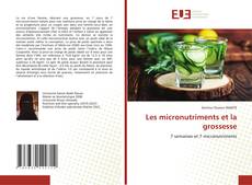 Les micronutriments et la grossesse kitap kapağı