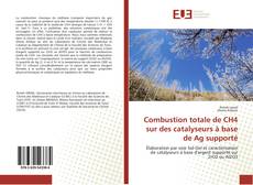 Copertina di Combustion totale de CH4 sur des catalyseurs à base de Ag supporté