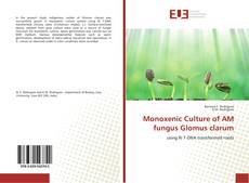 Buchcover von Monoxenic Culture of AM fungus Glomus clarum