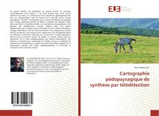 Bookcover of Cartographie pédopaysagique de synthèse par télédétection