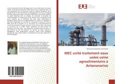 MEC unité traitement eaux usées usine agroalimentaire à Antananarivo kitap kapağı