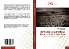 Portada del libro de Identification géomatique des potentialités aquifères