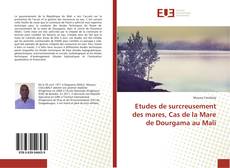 Bookcover of Etudes de surcreusement des mares, Cas de la Mare de Dourgama au Mali
