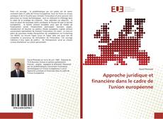 Copertina di Approche juridique et financière dans le cadre de l'union européenne