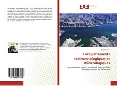 Bookcover of Enregistrements sédimentologiques et minéralogiques