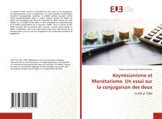 Keynésianisme et Monétarisme. Un essai sur la conjugaison des deux的封面