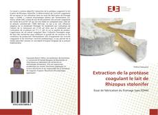Обложка Extraction de la protéase coagulant le lait de Rhizopus stolonifer