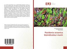 Обложка Posidonia oceanica bioindicateur marin
