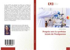Bookcover of Progrès vers la synthèse totale de l'hodgsonox