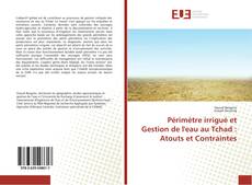 Portada del libro de Périmètre irrigué et Gestion de l'eau au Tchad : Atouts et Contraintes