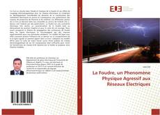 Portada del libro de La Foudre, un Phenomène Physique Agressif aux Réseaux Electriques