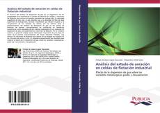 Bookcover of Análisis del estado de aeración en celdas de flotación industrial