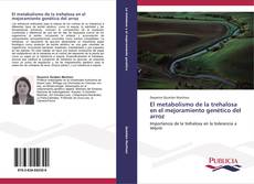 Buchcover von El metabolismo de la trehalosa en el mejoramiento genético del arroz