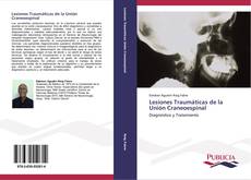 Buchcover von Lesiones Traumáticas de la Unión Craneoespinal