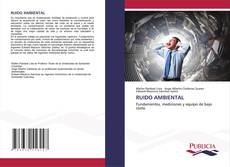 RUIDO AMBIENTAL kitap kapağı