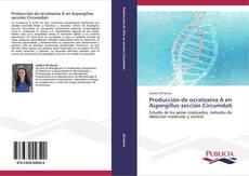 Bookcover of Producción de ocratoxina A en Aspergillus sección Circumdati