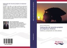 Bookcover of Valoración de recursos propios en empresas mineras