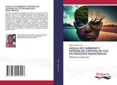 Обложка HUELLA DE CARBONO Y SISTEMA DE CAPTURA DE CO2 EN PROCESOS INDUSTRIALES