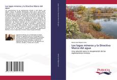 Couverture de Los lagos mineros y la Directiva Marco del agua