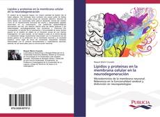 Buchcover von Lípidos y proteínas en la membrana celular en la neurodegeneración