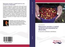 Relaciones sociales y capital social en una economía en desarrollo. kitap kapağı