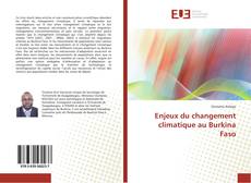 Buchcover von Enjeux du changement climatique au Burkina Faso