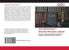 Couverture de Derecho Procesal Laboral