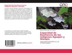 Обложка Capacidad de Resiliencia de los indígenas Aguajún y Wampis