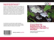 Copertina di Capacidad de Resiliencia de los indígenas Aguajún y Wampis