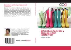 Estructura familiar y discapacidad intelectual kitap kapağı