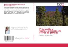 Copertina di Producción y Comercialización de Flores de Jamaica