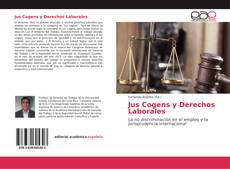 Bookcover of Jus Cogens y Derechos Laborales