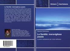 Buchcover von La Santità: meravigliosa pazzia