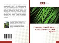 Capa do livro de Perception des riziculteurs sur les impacts du crédit agricole 