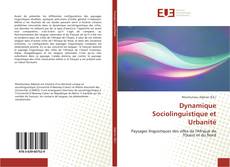 Capa do livro de Dynamique Sociolinguistique et Urbanité 