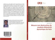 Buchcover von Mesure non destructive du module d'élasticité dynamique du bois
