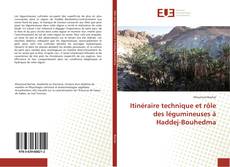 Bookcover of Itinéraire technique et rôle des légumineuses à Haddej-Bouhedma