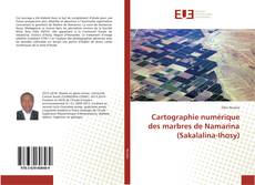 Buchcover von Cartographie numérique des marbres de Namarina (Sakalalina-Ihosy)