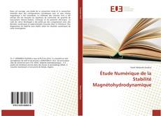 Обложка Étude Numérique de la Stabilité Magnétohydrodynamique