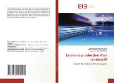 Buchcover von Essaie de production d’un tensioactif