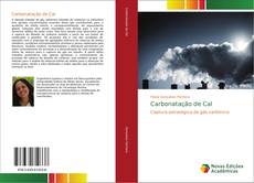 Buchcover von Carbonatação de Cal