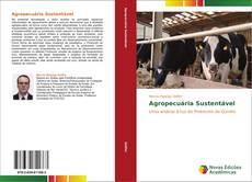 Agropecuária Sustentável kitap kapağı